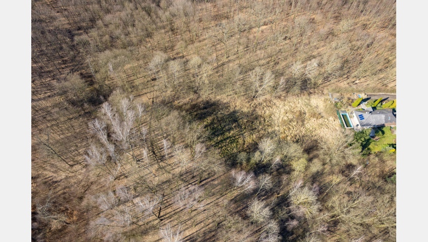 Działka Sprzedaż Szczecin Płonia