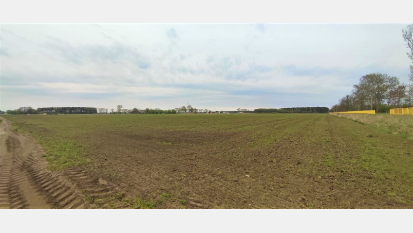 Działka Sprzedaż Lubczyna