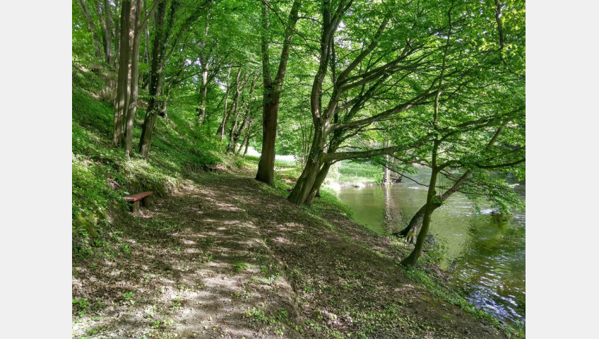 Działka Sprzedaż Barnimie
