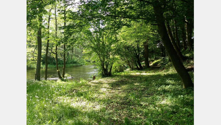 Działka Sprzedaż Barnimie