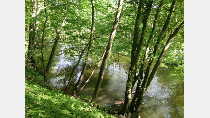 Działka Sprzedaż Barnimie