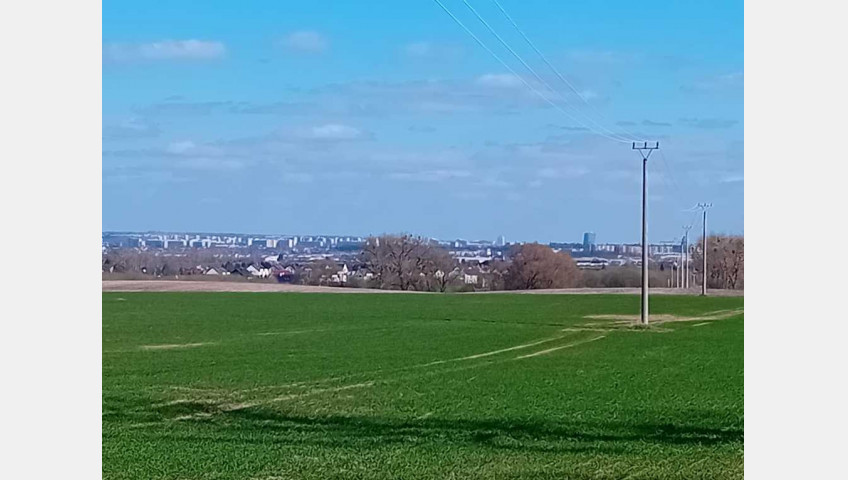 Działka Sprzedaż Karwowo