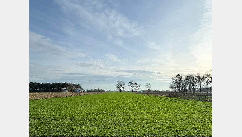 Działka Sprzedaż Borzysławiec