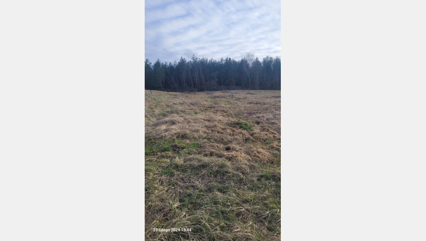 Działka Sprzedaż Zieleniewo