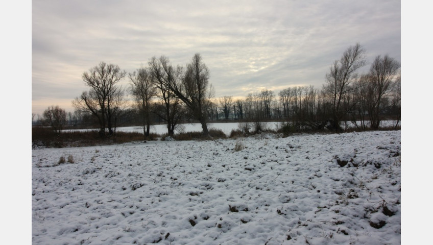 Dom Sprzedaż Sulimierz