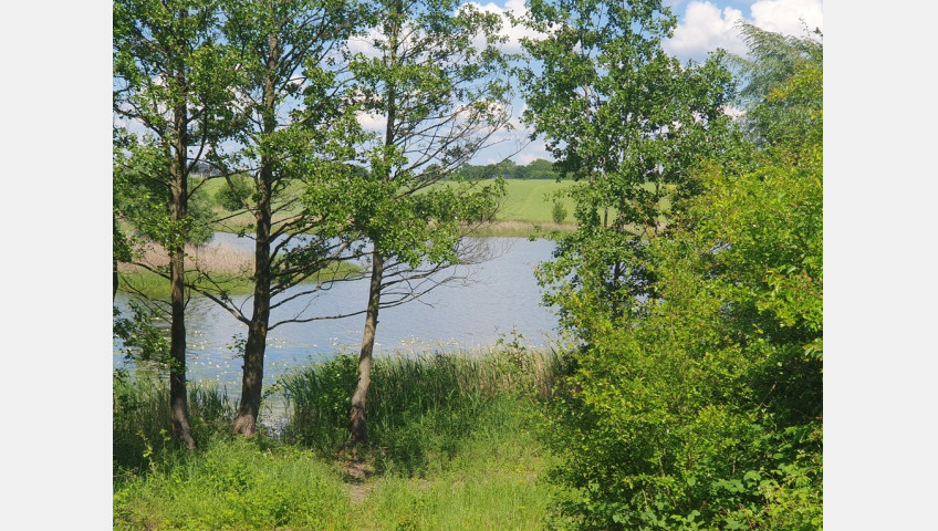 Działka Sprzedaż Zieleniewo