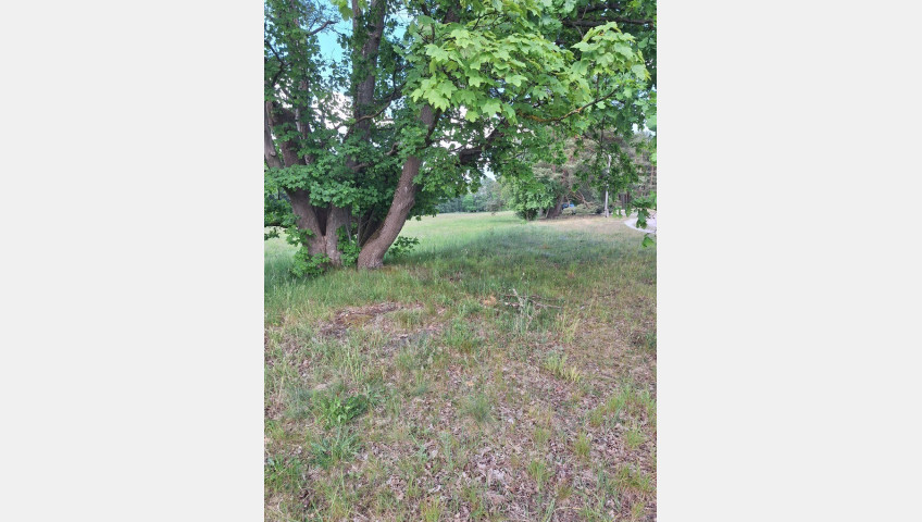 Działka Sprzedaż Tanowo Szczecińska