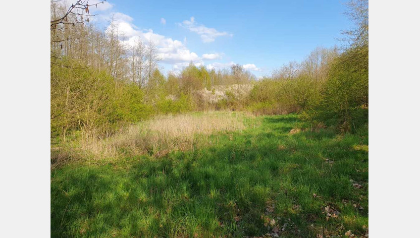 Działka Sprzedaż Zieleniewo