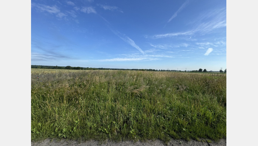 Działka Sprzedaż Goleniów
