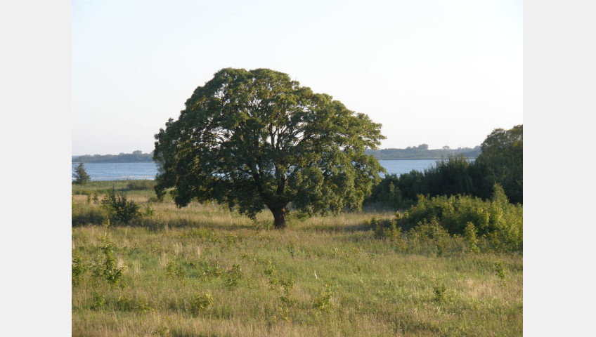 Działka Sprzedaż Kamień Pomorski